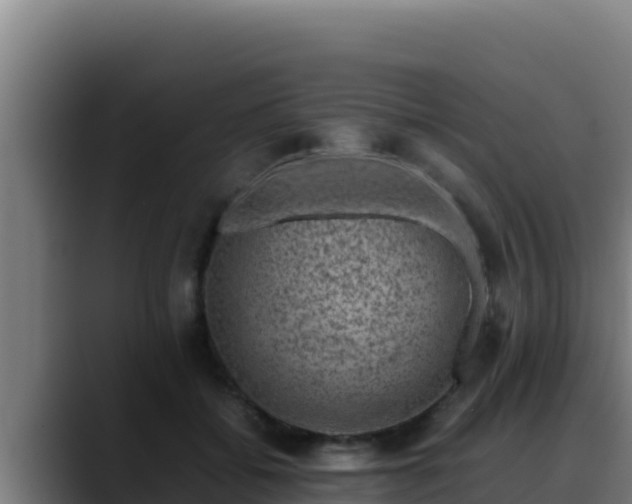 X0000090430556200707201138
