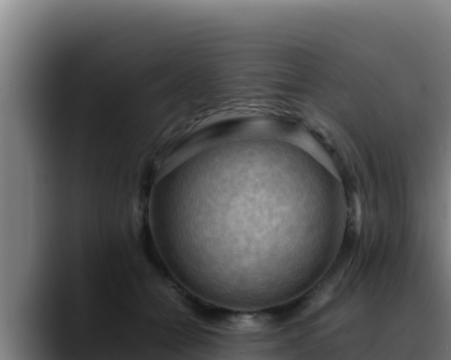 X0000090430558200707201138