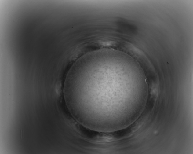 X0000090430559200707201138
