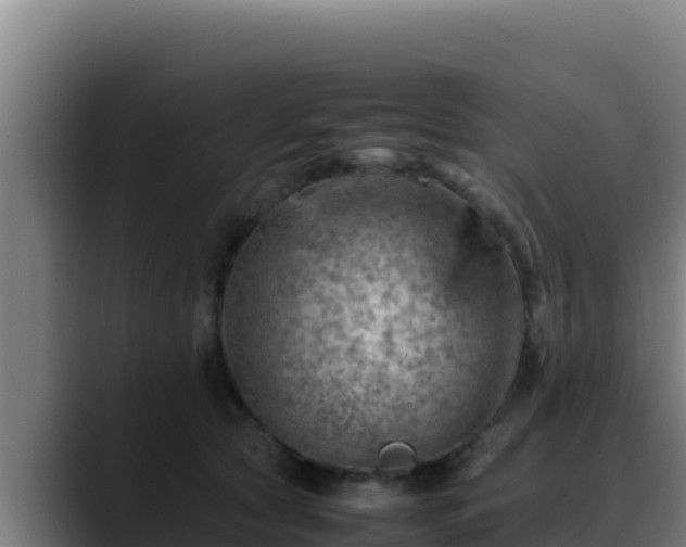 X0000090430561200707201138