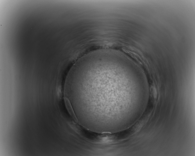 X0000090430564200707201138