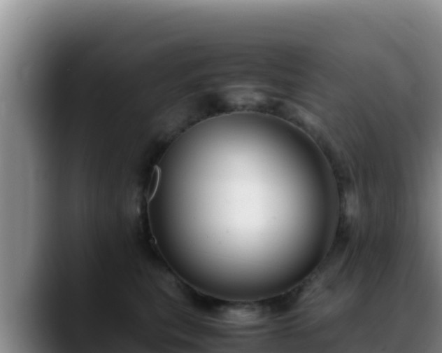 X0000090430567200707201138