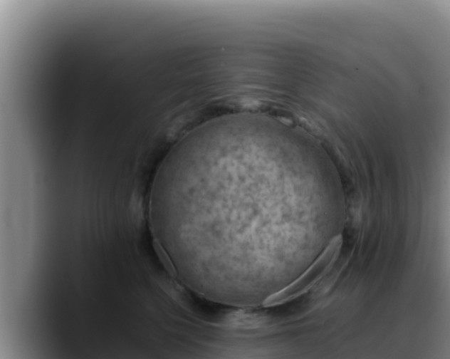X0000090430568200707201138