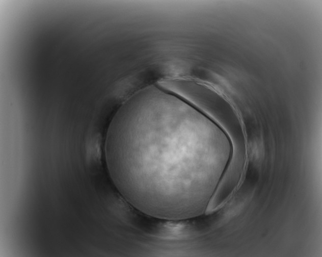 X0000090430570200707201138