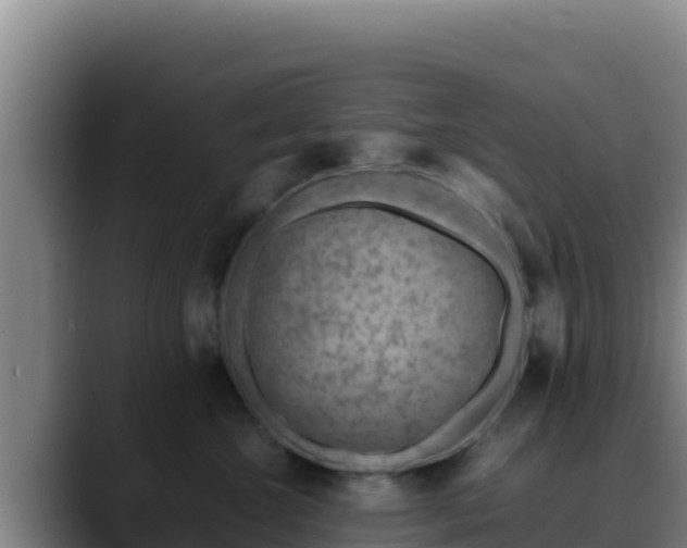X0000090430572200707201138