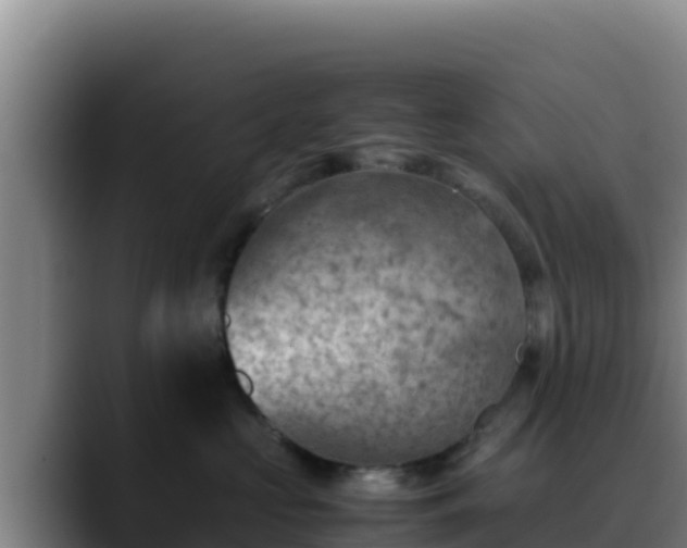 X0000090430573200707201138