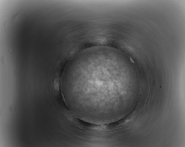 X0000090430576200707201138