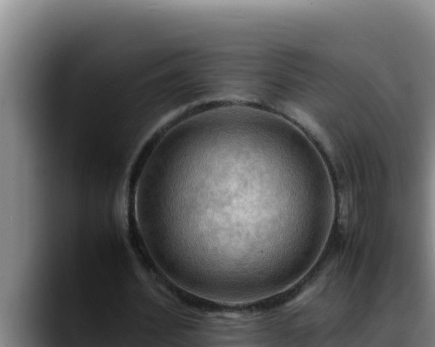 X0000090430580200707201138