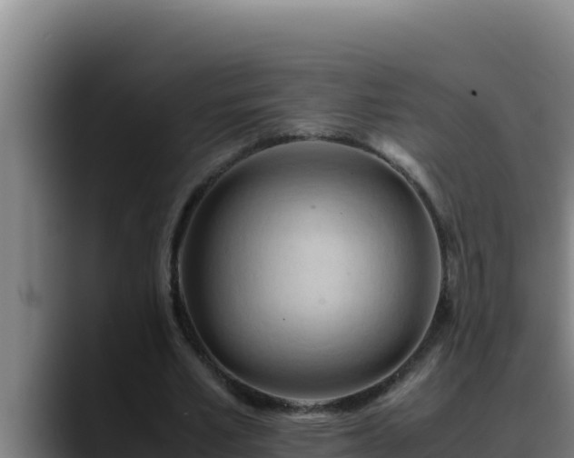 X0000090430581200707201138