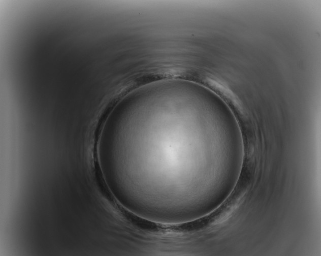 X0000090430585200707201138