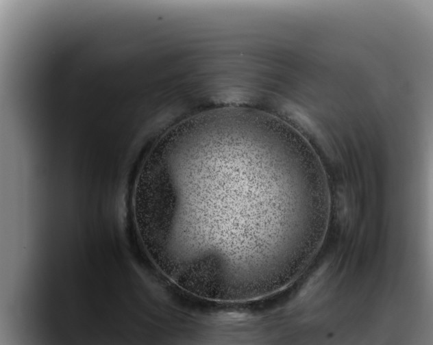 X0000090430586200707201138