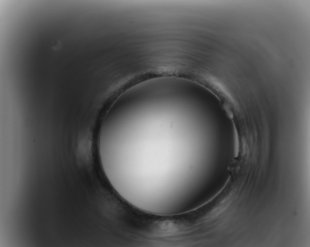 X0000090430588200707201138