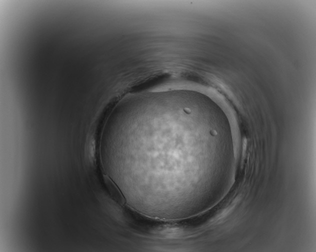 X0000090430589200707201138
