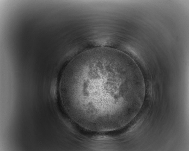 X0000090430590200707201138