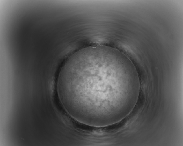 X0000090430591200707201138