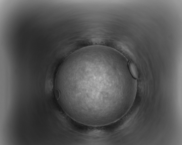 X0000090430593200707201138