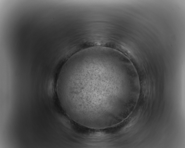 X0000090430594200707201138