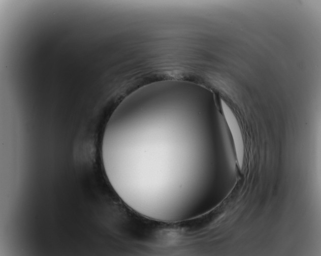 X0000090430595200707201138