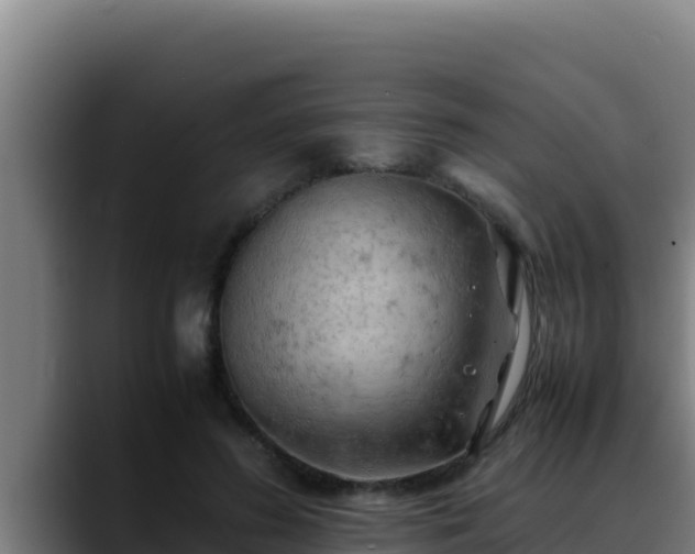 X0000090430596200707201138