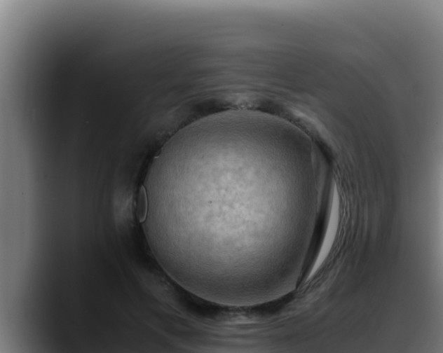 X0000090430597200707201138