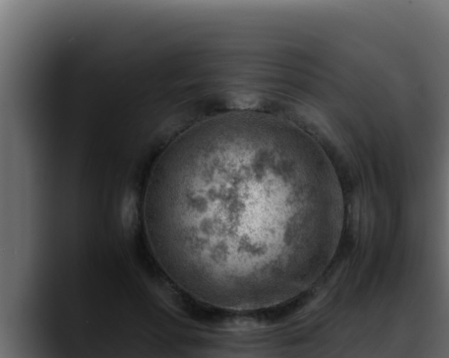 X0000090430598200707201138