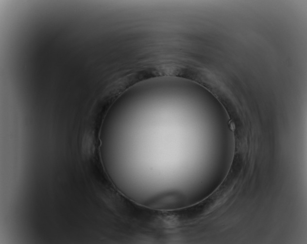 X0000090430599200707201138