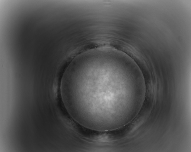 X0000090430600200707201138