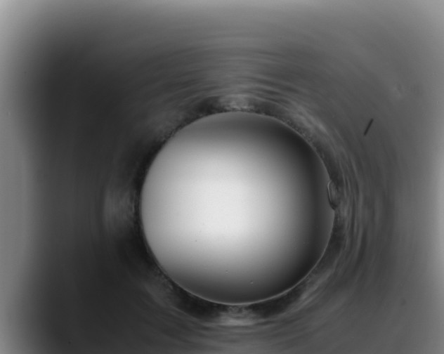 X0000090430603200707201137