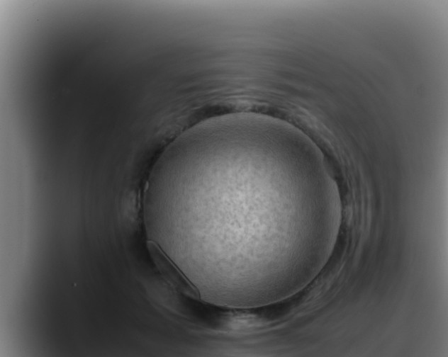 X0000090430605200707201137