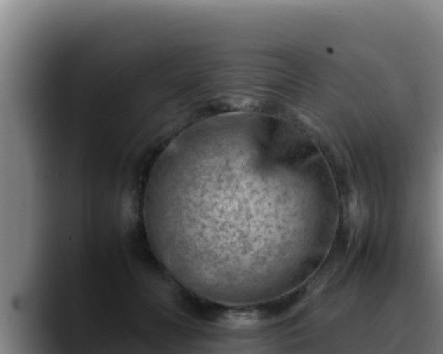 X0000090430606200707201137
