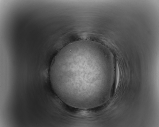 X0000090430611200707201137
