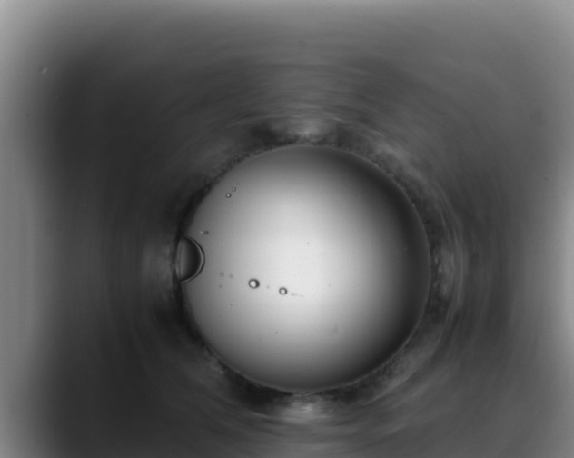 X0000090430612200707201137