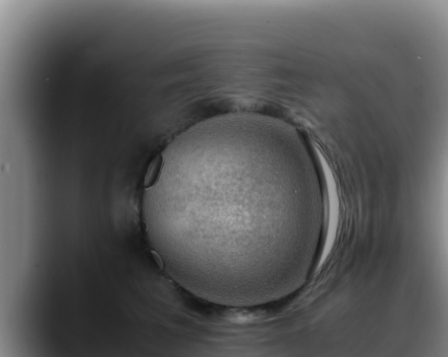 X0000090430613200707201137