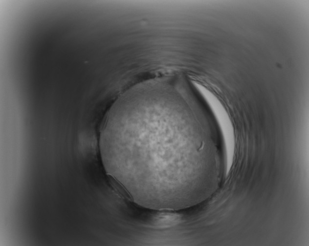 X0000090430617200707201137