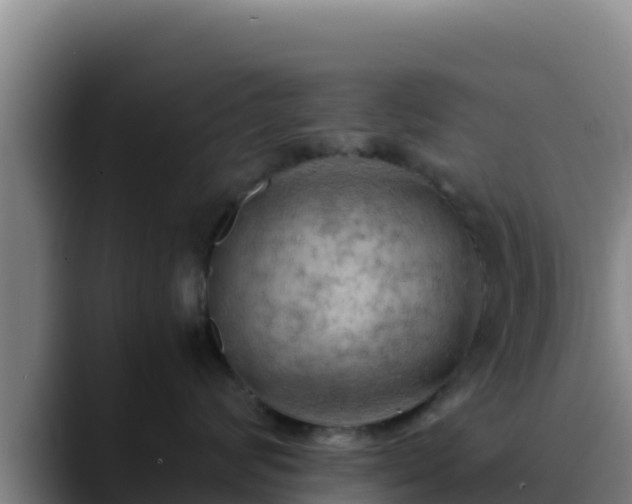 X0000090430624200707201137