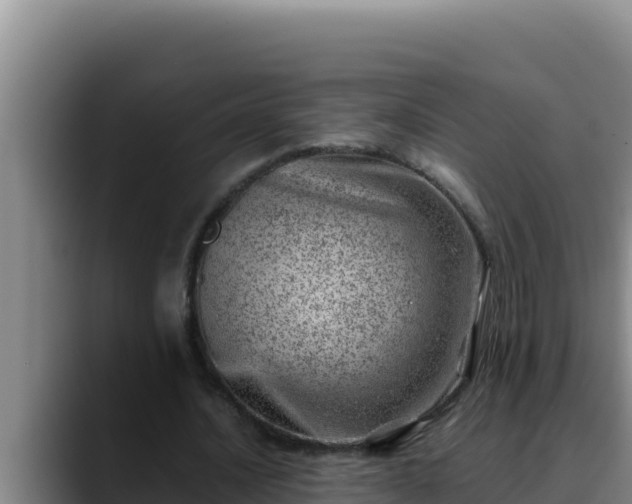 X0000090430628200707201137
