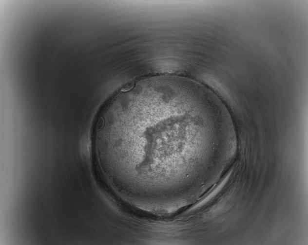 X0000090430630200707201137