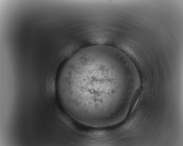 X0000090430638200707201137