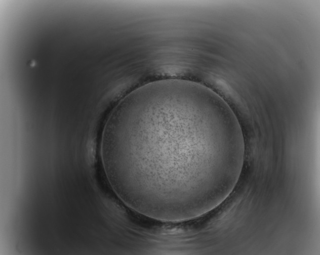 X0000090430640200707201137