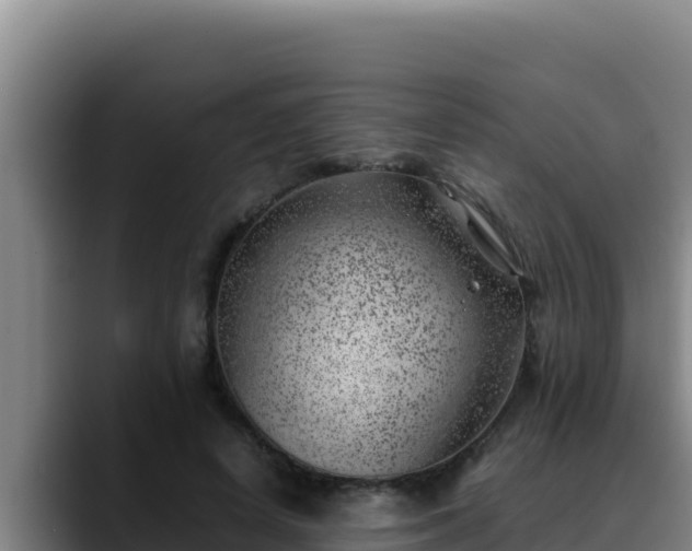 X0000090430642200707201137