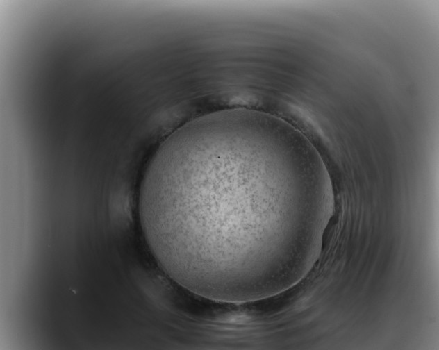 X0000090430643200707201137