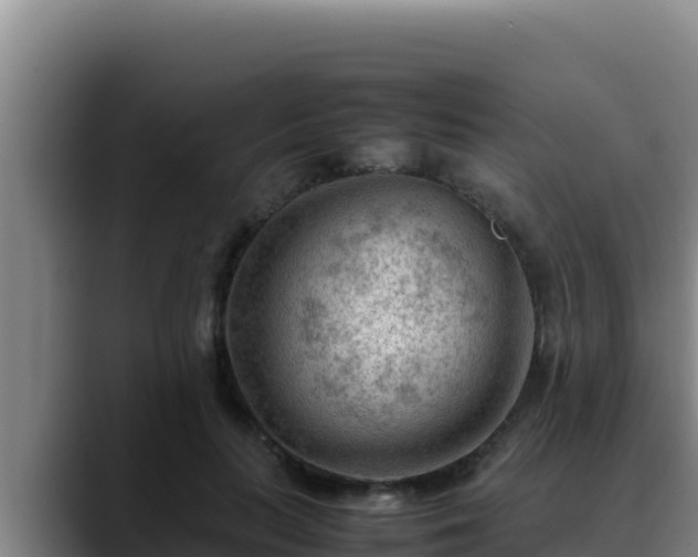 X0000090430647200707201137