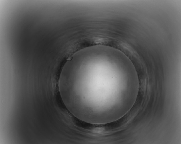 X0000090430653200707201137