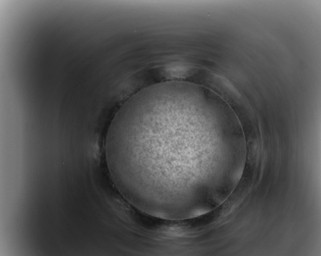 X0000090430655200707201137
