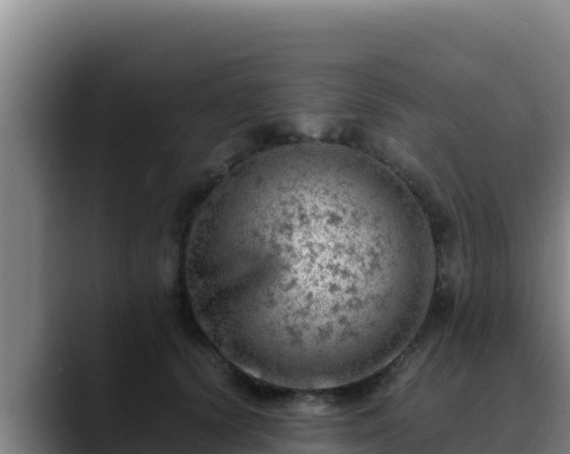 X0000090430656200707201137