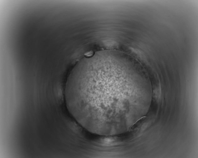X0000090430662200707201137