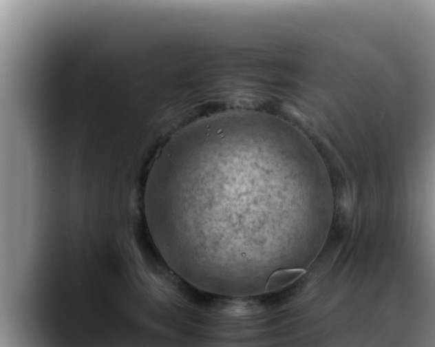 X0000090430663200707201137