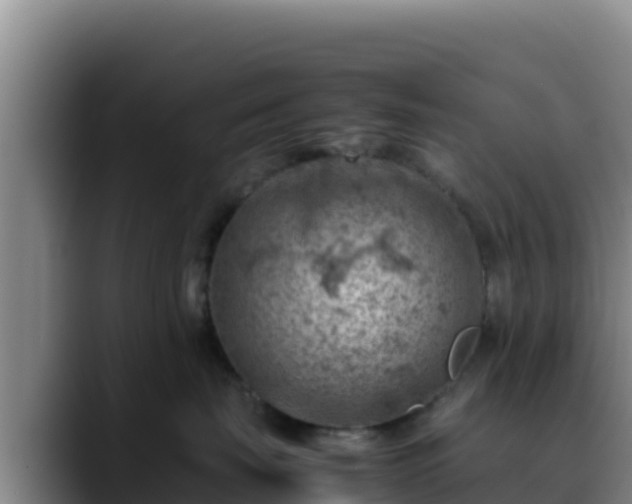 X0000090430671200707201137