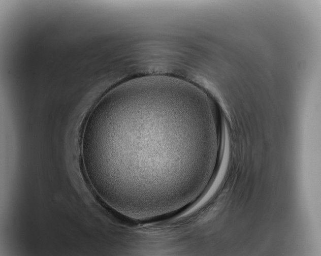 X0000090430673200707201137