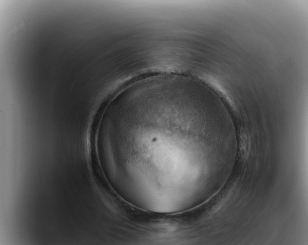 X0000090430678200707201137